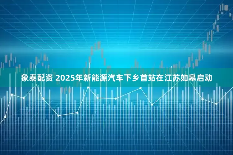 象泰配资 2025年新能源汽车下乡首站在江苏如皋启动